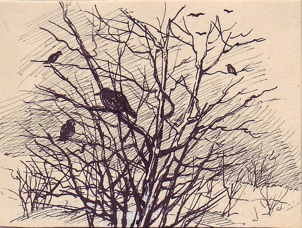 Ptáci v křoví – Zima